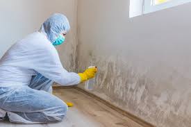 Best Mold Prevention Services  in Eminence, KY